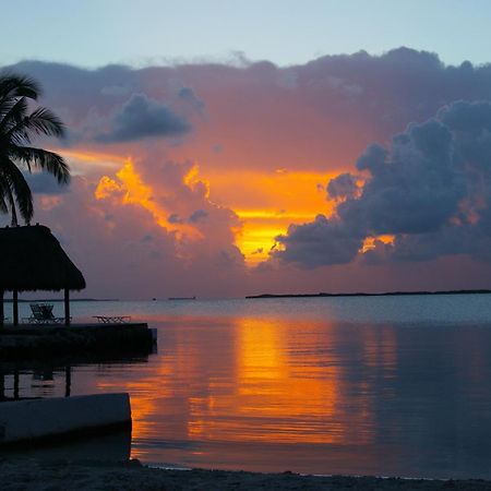 Rock Reef Resort Key Largo Exterior photo