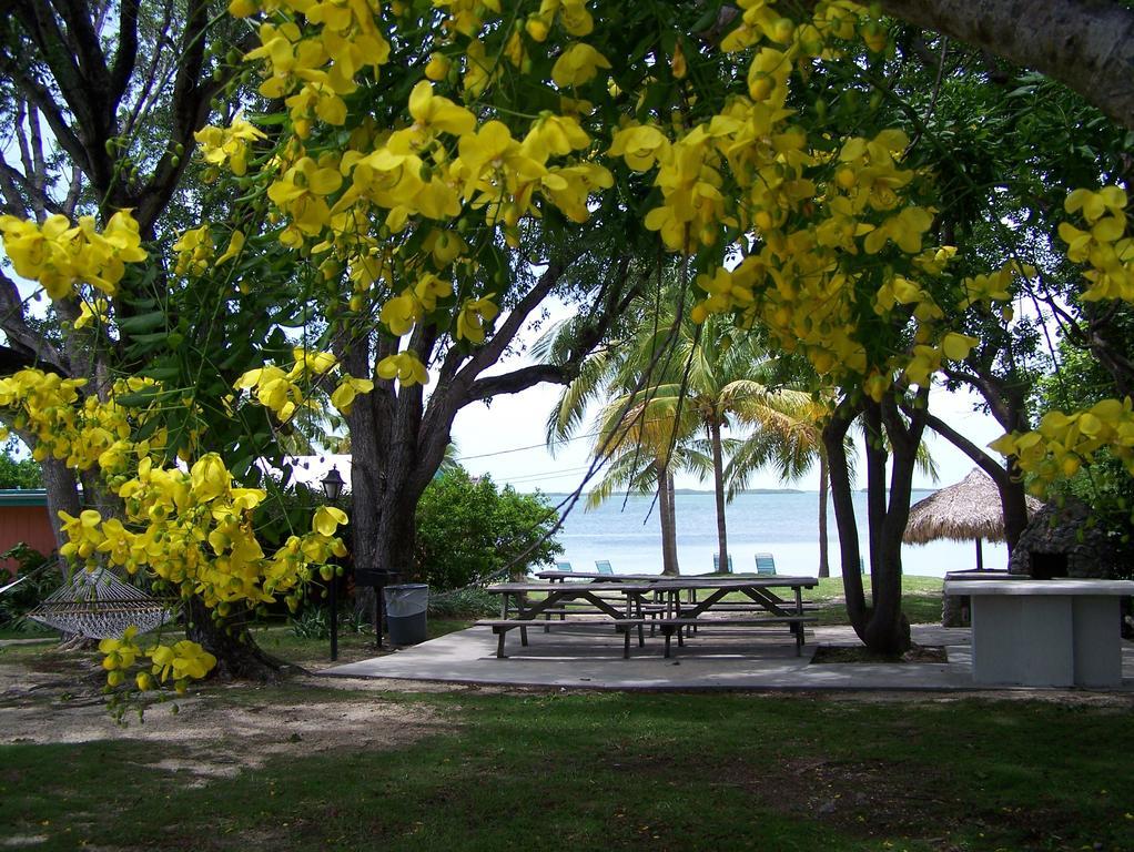 Rock Reef Resort Key Largo Exterior photo