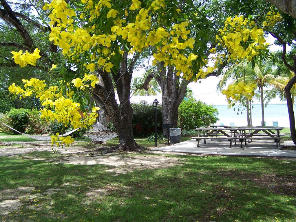 Rock Reef Resort Key Largo Exterior photo